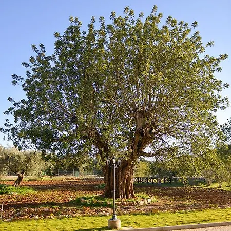 Quinta Dos Tesouros Feriegård São Brás de Alportel