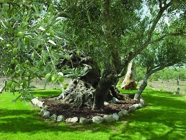 Κατάλυμα σε φάρμα Quinta Dos Tesouros