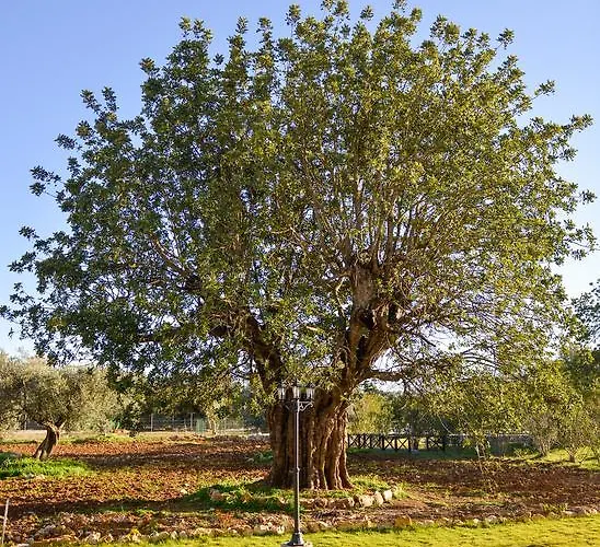 Quinta Dos Tesouros Κατάλυμα σε φάρμα São Brás de Alportel