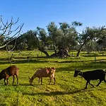 Quinta Dos Tesouros Farm stay *