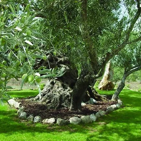 Farm stay Quinta Dos Tesouros