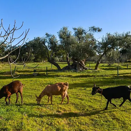 Quinta Dos Tesouros Farm stay *