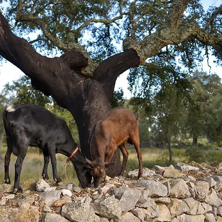 Quinta Dos Tesouros * Sao Bras de Alportel